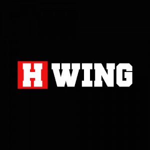 h wing Top songs August