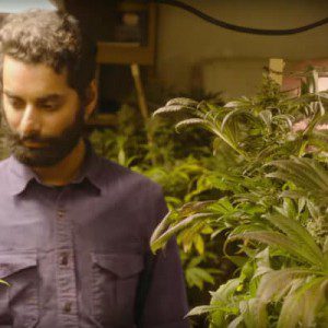 Weediquette Series