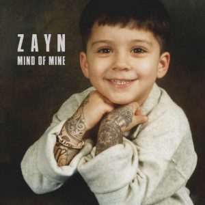 Zayn Malik - Like I Would [New Song]