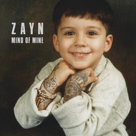 Zayn Malik - Like I Would [New Song]