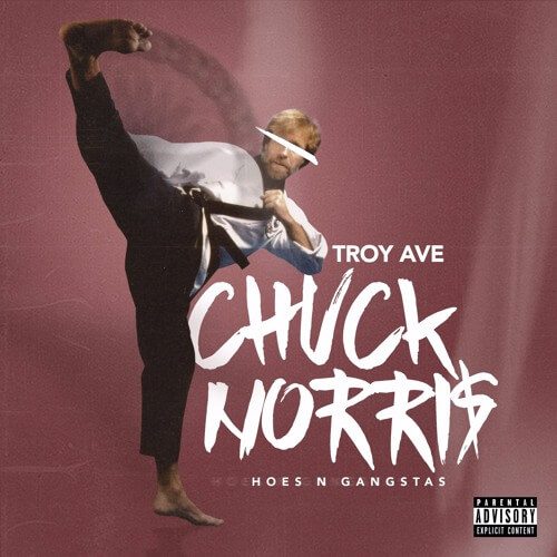Troy Ave Chuck Norris