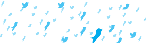 twitter Gif