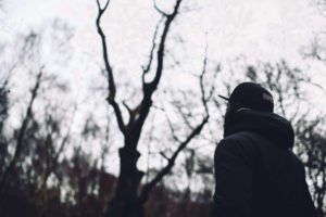 Stash “LA” Video