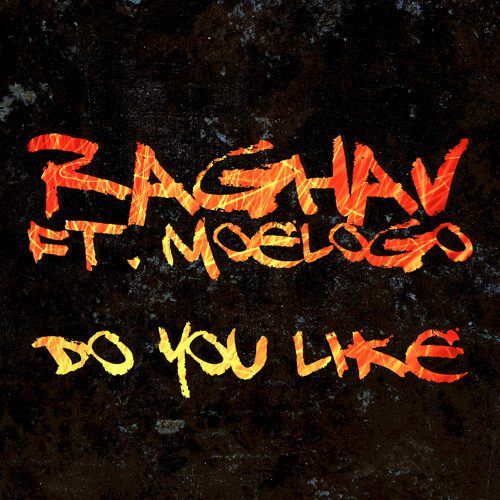 Raghav - Do You Like f/ Moelogo [New Song]