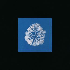 James Tillman - Silk Noise Reflex