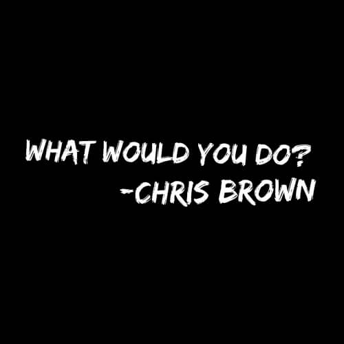 Chris Brown - What Would You Do [New Song]