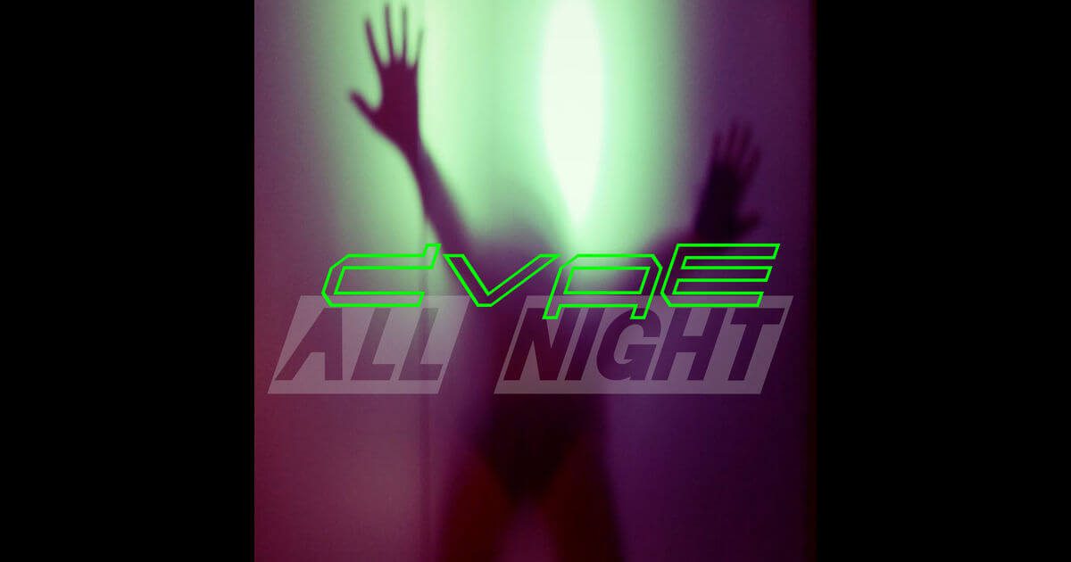 DVAE All Night