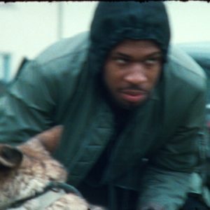 avelino