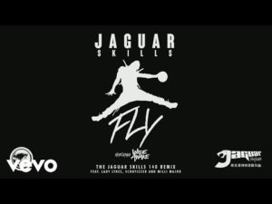 Jaguar Skills