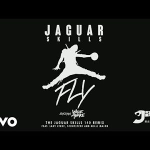 Jaguar Skills