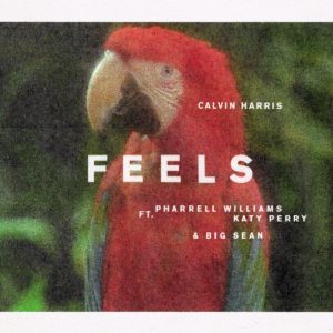 calvin harris