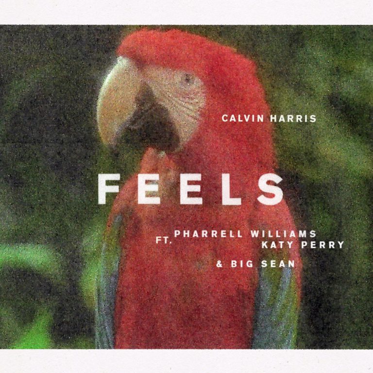 calvin harris