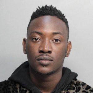 dammy krane