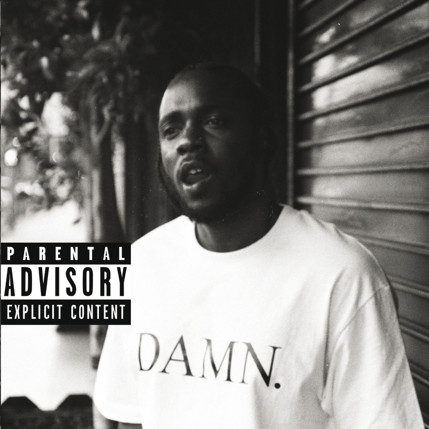 Kendrick Lamar ‘DAMN.’ (Collectors Edition)
