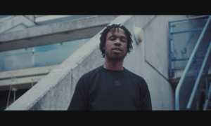 avelino