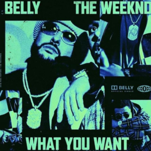 Belly