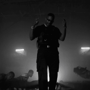 Jay 305