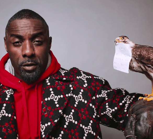 idris elba boasy