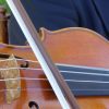 violin