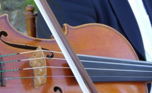 violin