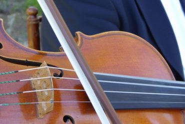 violin