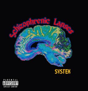 Cover System — Schizophrenic Lapses