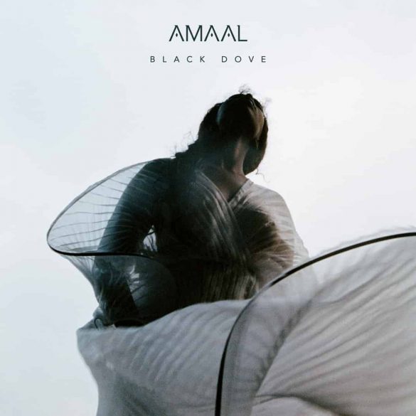 amaal black dove ep
