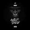 monkey 67 wind n loose