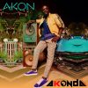 akon album cover