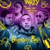 wiley future