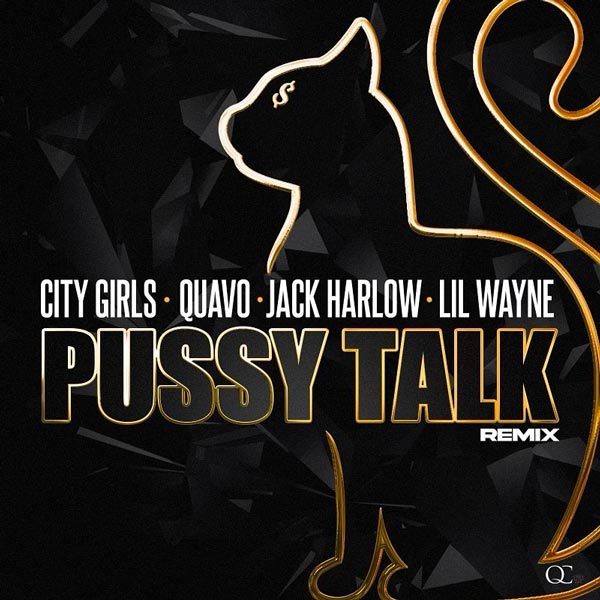 pussy taklk remix