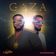 DJ Neptune - GAZA cover art png_