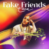 Tana fake friends