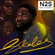 Skales nobody to somebody