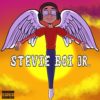 Leo Stevie boi Jr Cover