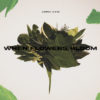 Adria Kain — When Flowers Bloom