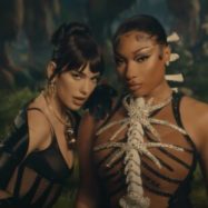 Megan Thee Stallion