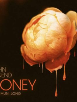 john legend honey
