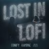 lost in lofi