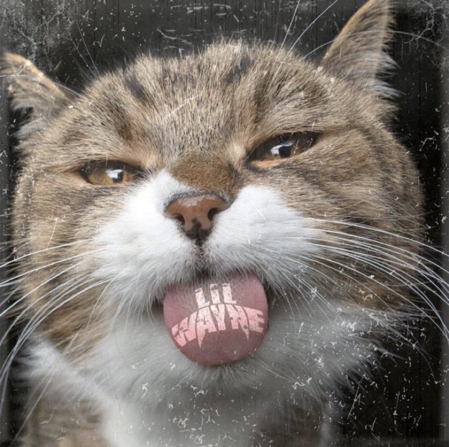 Lil Wayne Kat Food