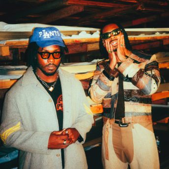Flatbush Zombies