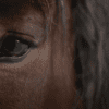 Gunna bittersweet video