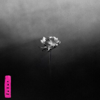 Little Simz Lotus