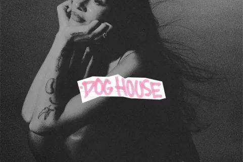 Drake Dog House